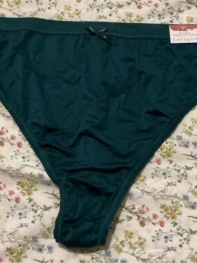Cacique Teal High-Cut Bikini Brief with Bow